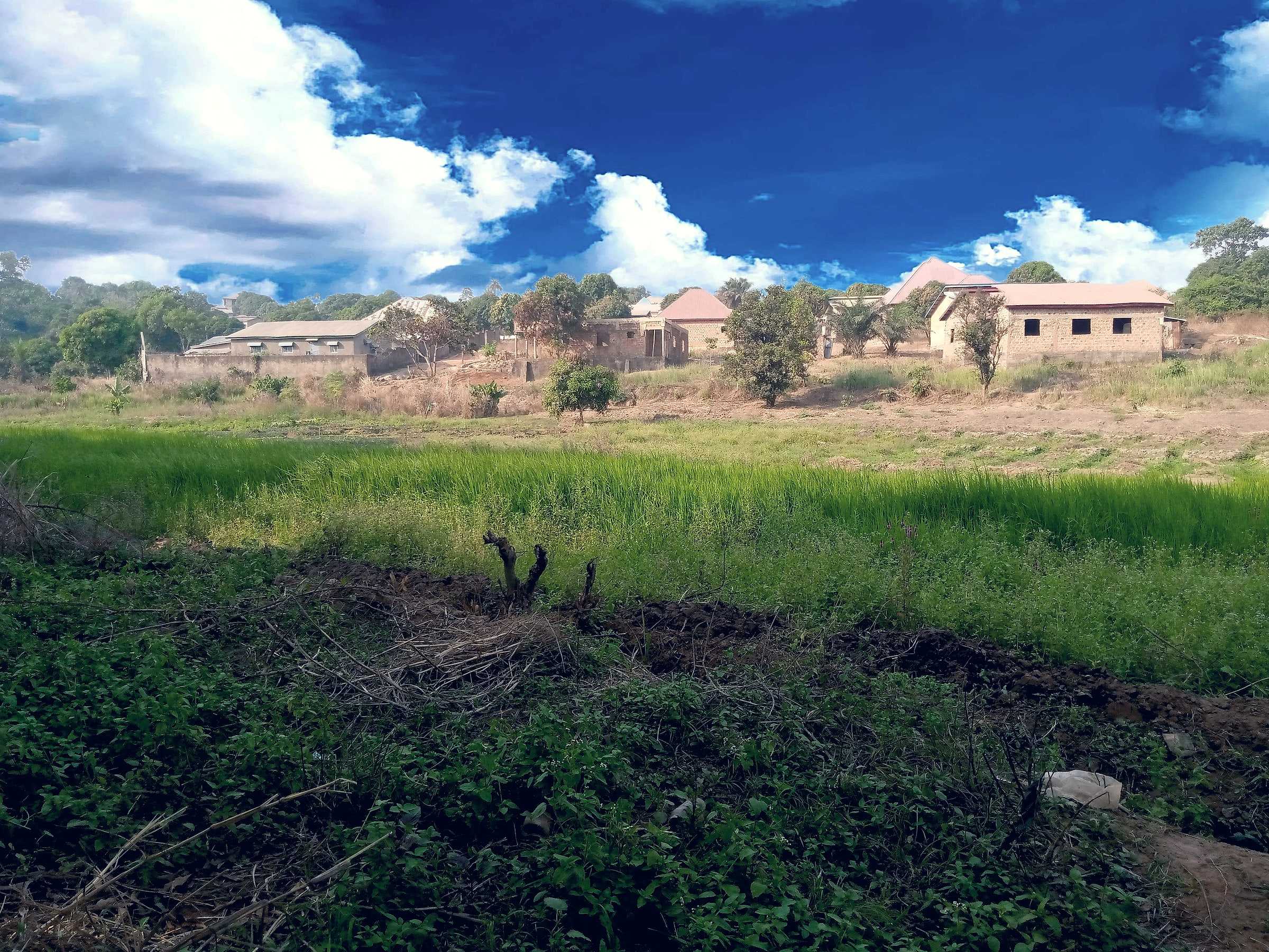Une rizière et un village sous un grand ciel, à Kindia